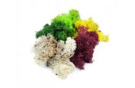 GM1600 Mixed Lichen 80g
